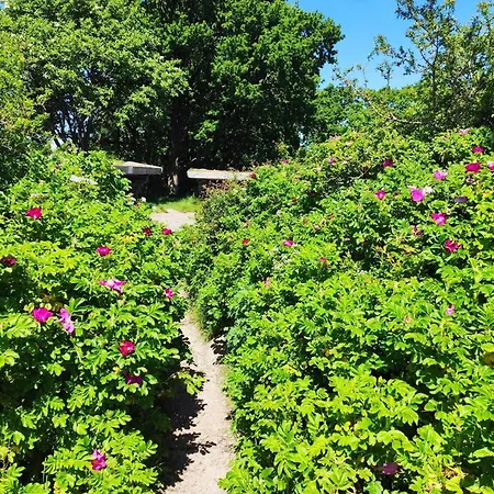 Holiday home 6 Person In Bjert-by Traum *