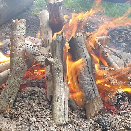 Σπίτι διακοπών 6 Person In Bjert-by Traum